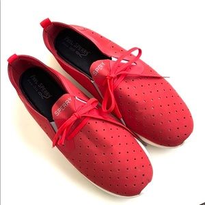 EUC Sperry sneakers